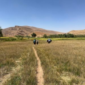Mount Mgoun: Berber Trade Routes & Kasbahs Trek