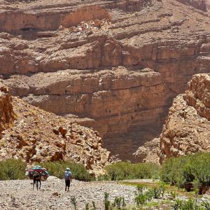 Mount Mgoun: Berber Trade Routes & Kasbahs Trek