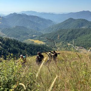 Taj, Temples & Trails of the Indian Himalayas