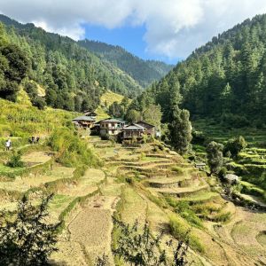 Taj, Temples & Trails of the Indian Himalayas