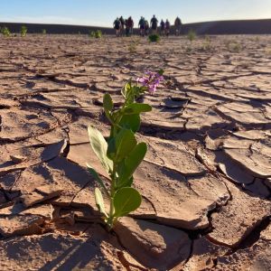 Adventure for Animals Sahara Desert Trek